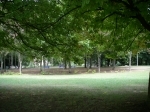 IMGP0357.JPG