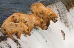 perfectly-timed-photos-40.jpg