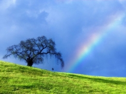 arc en ciel,rainbow