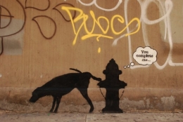 banksy,graff,art de rue