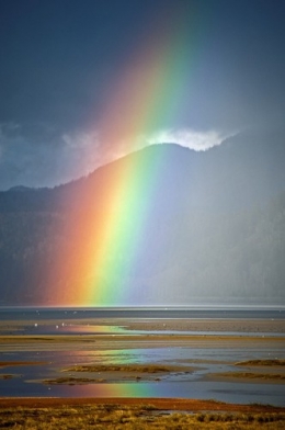 arc en ciel,rainbow