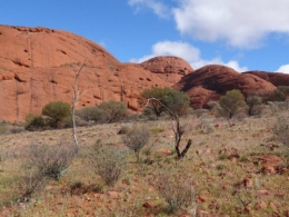 australie,ayers rock,aborigènes,uluru