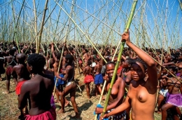 zulu,zoulou,afrique du sud