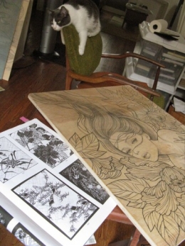 kawasaki,manga,dessins sur bois