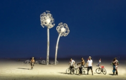 burning man