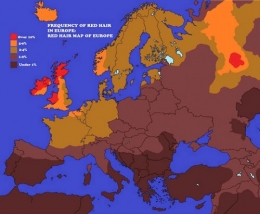 Carte européenne du pourcentage de roux par pays.jpg