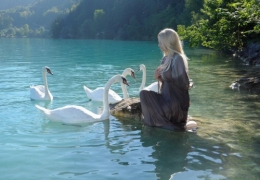 swan_lake_6_by_kuoma_stock-d5f1c8i.jpg