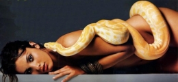 kinski sonja snake.jpg