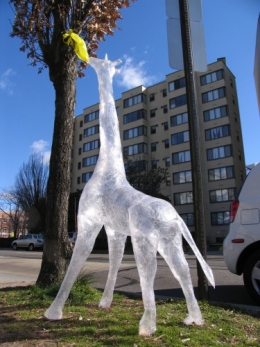 Tape_giraffe.jpg