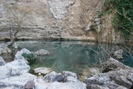 DSC_0226.JPG