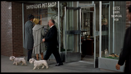 film,cameo,cinema,hitchcock