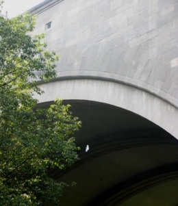 bridge.jpg