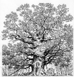 Arbre_roi-02.jpg