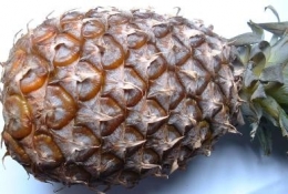 ananas.jpg