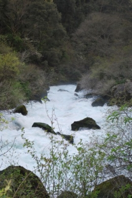 fontaine,source,résurgence,exsurgence,vallis clausa,vaucluse,pétrarque,plongée,gouffre