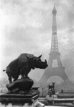 Paris 1920 (32).jpg