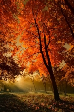 tumblr_j1280.jpg