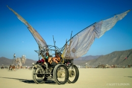 burning man
