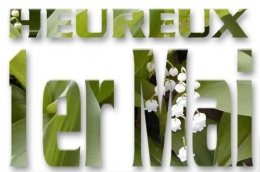 muguet2mk3.jpg