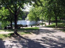 vue-sur-le-parc-lafontaine2.jpg