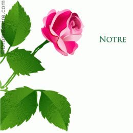 AMOUR.gif