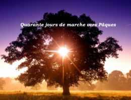 CAREME4 (1).png