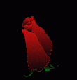 flo18.gif