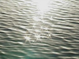 mer-9520a.jpg