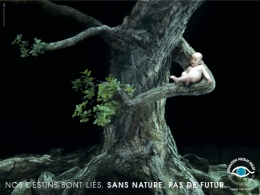 arbre_HULOT.jpg