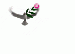 oiseau_1.gif