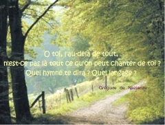 chemin.jpg