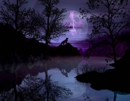 2_-le-loup-wolfpurple.jpg