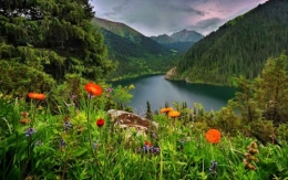 NATURE.jpg