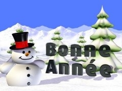 BONNE ANNEE 2009.jpg