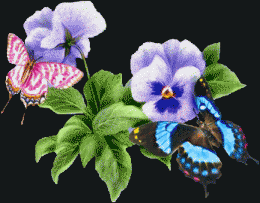 27-message.gif