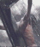 1508738656.gif