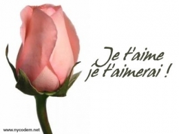 je aime.jpg