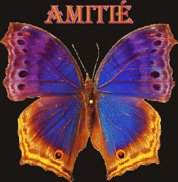 amitie11.gif