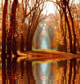 paysage poétique.gif