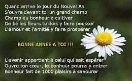 bonne annee 2019fleurs.jpg