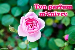 parfum-enivre.jpg