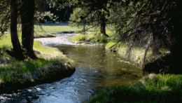 61f2f4d17a678c244cdf813530098669.gif