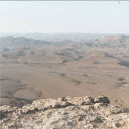 E000748_LRG.gif