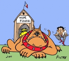 340_1000_-nichefiscale.jpg