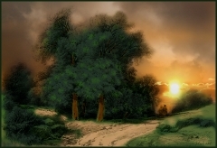 _soleil_couchant070220_1171972212.jpg
