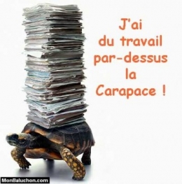 6fad86273c8db2c9e662856346ce481d.jpg
