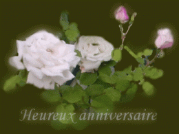 1138471051.gif
