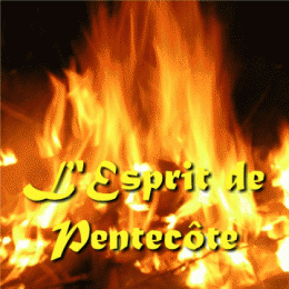 1238528438.gif