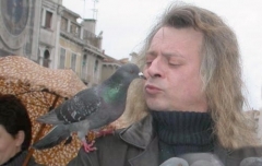brunopigeon.jpg