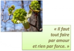 carte5.jpg